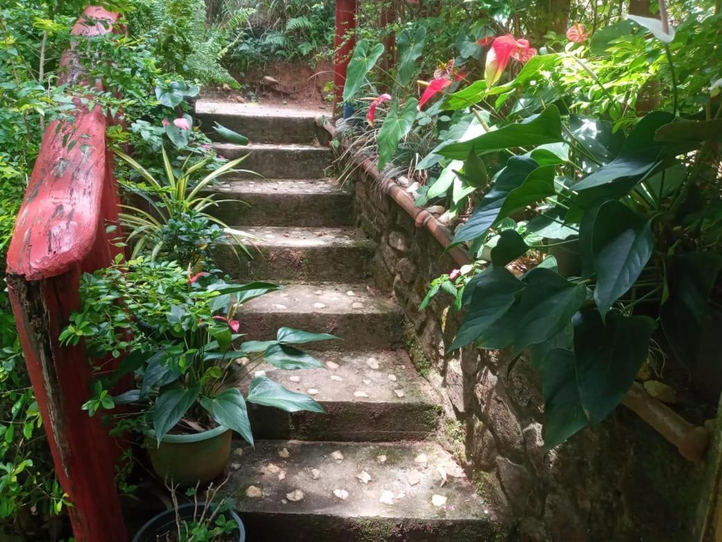 Nethsara Cottage Ella Ngoại thất bức ảnh